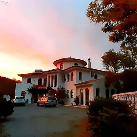 Quinta Da Mimosa Villa