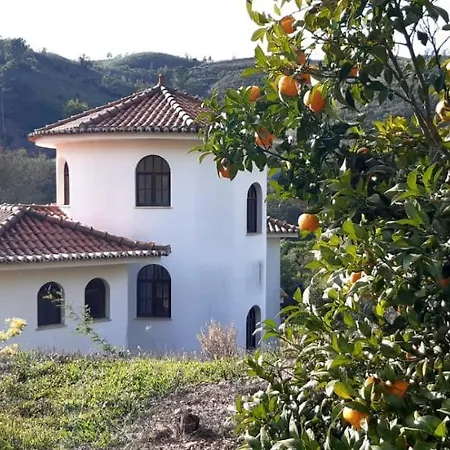 Quinta Da Mimosa