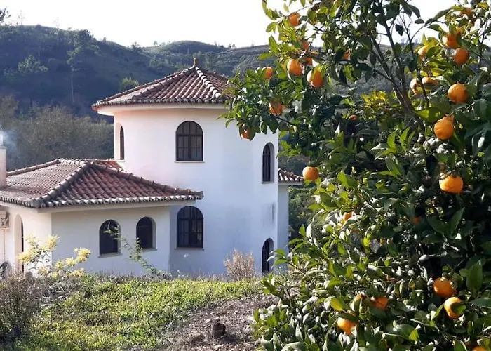 Quinta Da Mimosa